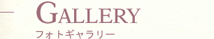 GALLERY フォトギャラリー